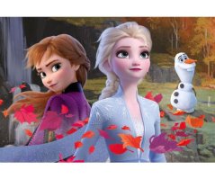 Puzzle Frozen fronte-retro 50 × 35 cm, 24 pezzi