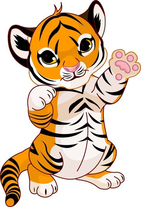 Haine pentru copii, bebeluși si accesorii cu motivul Tigru