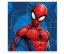 Asciugamano Spiderman 30x30