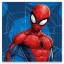 Asciugamano Spiderman 30x30