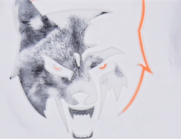Bluză mânecă lungă pentru copii Wolf - Mărime: 122