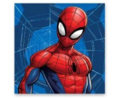 Ručník Spiderman 30x30