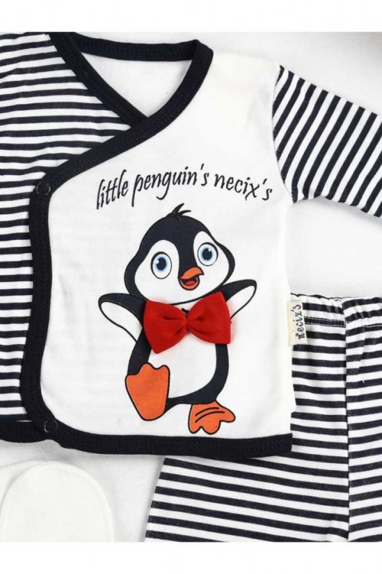 Compleu pentru bebeluși 5 piese Pinguin