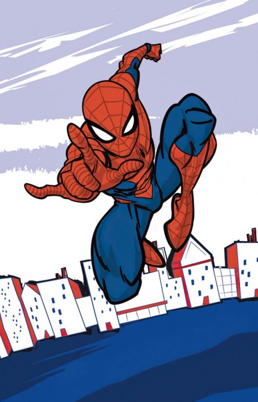 Prosop pentru copii Spiderman 30x50 cm