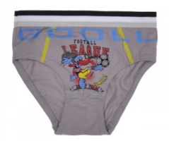 Mutande per ragazzi grigio 92/98